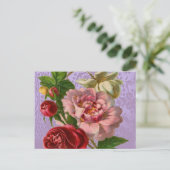 Carte Postale Beau Rose coloré (Debout devant)