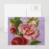 Carte Postale Beau Rose coloré (Devant / Derrière)