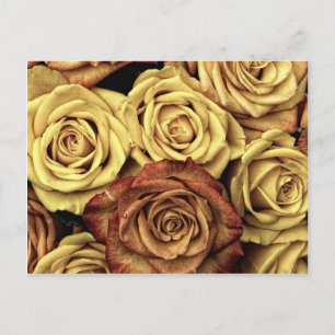 Carte Postale Beau Rose défraîchi Vintage Floral Bouquet