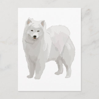 Carte Postale Beau Samoyed