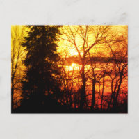 Beau Sunset Canada Arbres Orange Gold Sky Post