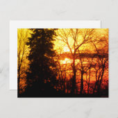 Carte Postale Beau Sunset Canada Arbres Orange Gold Sky Post (Devant / Derrière)
