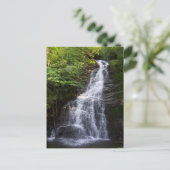 Carte Postale Beau Tennessee (Debout devant)