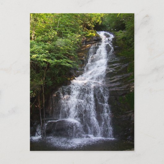 Carte Postale Beau Tennessee (Devant)