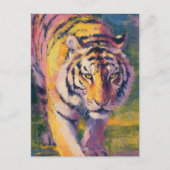 Carte Postale Beau tigre (Devant)