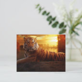 Carte Postale Beau tigre (Debout devant)