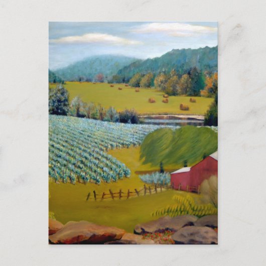 Carte Postale Beau vignoble sur Augusta Missouri Farm (Devant)