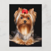 Carte Postale Beau Yorkshire Terrier (Devant)
