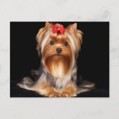 Carte Postale Beau Yorkshire Terrier (Devant)