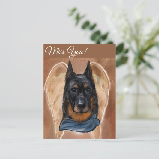 Carte Postale Beauceron (Debout devant)