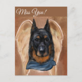 Carte Postale Beauceron (Devant)