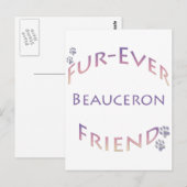 Carte Postale Beauceron Furever (Devant / Derrière)