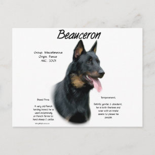Carte Postale Beauceron History; Tout sur Beauceron