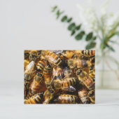Carte Postale Beaucoup d'abeilles de miel (Debout devant)