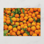 Carte Postale Beaucoup d'oranges (Devant)