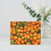 Carte Postale Beaucoup d'oranges (Debout devant)
