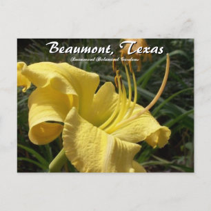 Carte Postale Beaumont, Jour de Lily Travel