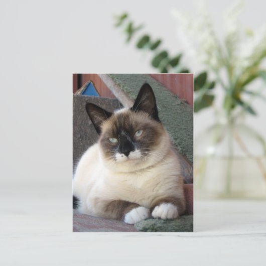 Carte Postale Beauté (Debout devant)