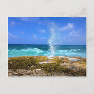 Carte Postale Beauté