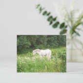 Carte Postale Beauté (Debout devant)