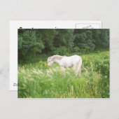 Carte Postale Beauté (Devant / Derrière)