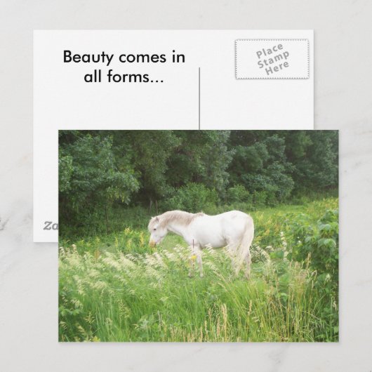 Carte Postale Beauté (Devant / Derrière)