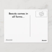 Carte Postale Beauté (Dos)