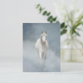 Carte Postale beauté blanche (Debout devant)