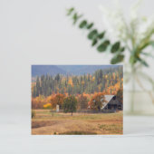 Carte Postale Beauté d'automne... (Debout devant)