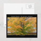 Carte Postale Beauté d'automne sources chaudes, Arkansas Vêtemen (Devant / Derrière)