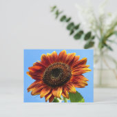 Carte Postale Beauté d'automne tournesol (Debout devant)