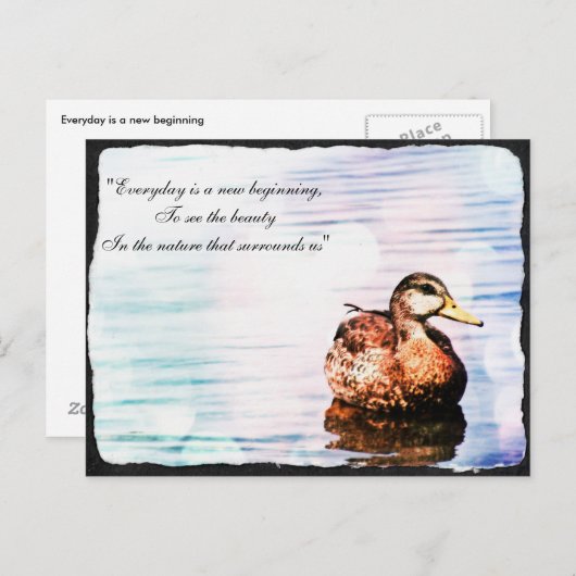 Carte postale Beauté de canard (Devant / Derrière)