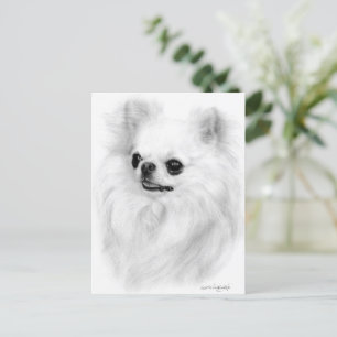 Carte Postale Beauté de Chihuahua Peinte à la Main Œuvre d'Art