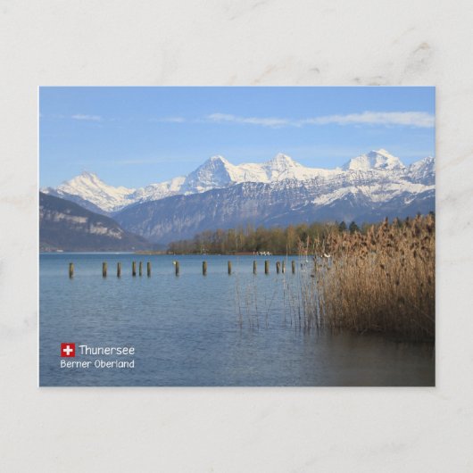 Carte Postale Beauté de la Suisse (Devant)
