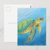Carte Postale Beauté de la tortue (Devant / Derrière)