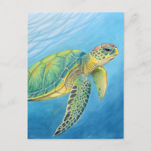 Carte Postale Beauté de la tortue (Devant)