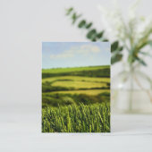 Carte Postale Beauté de la vie (Debout devant)