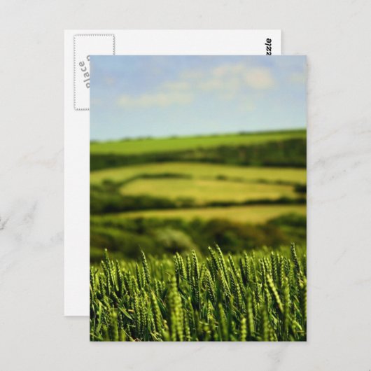 Carte Postale Beauté de la vie (Devant / Derrière)