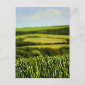 Carte Postale Beauté de la vie