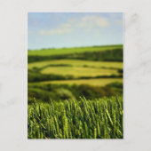 Carte Postale Beauté de la vie (Devant)