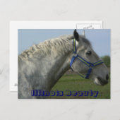 Carte Postale Beauté de l'Illinois (Devant / Derrière)