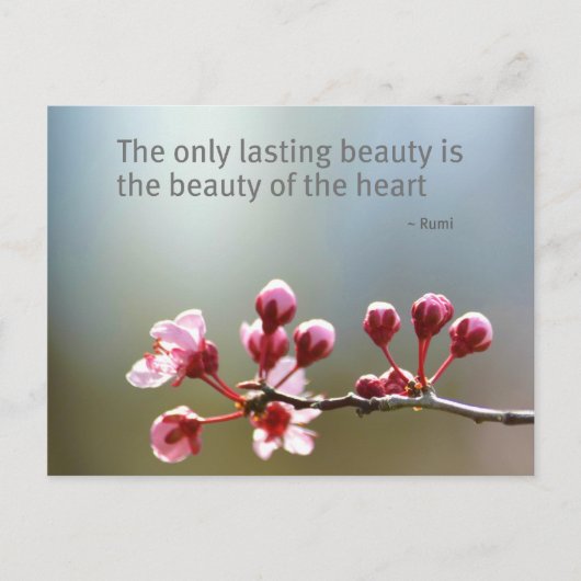 Carte Postale Beauté des fleurs du printemps (Devant)