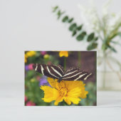 Carte Postale Beauté des papillons Zebra (Debout devant)