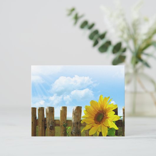 Carte Postale Beauté des tournesols (Debout devant)