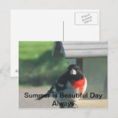 Carte Postale Beauté d'été (Devant / Derrière)