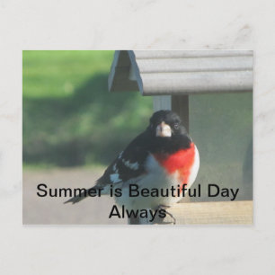 Carte Postale Beauté d'été
