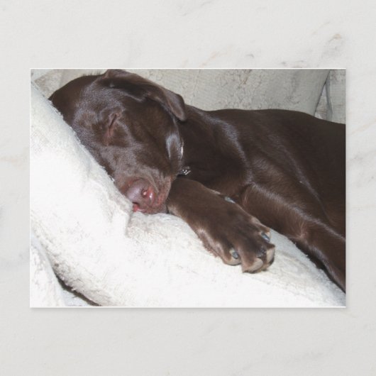 Carte Postale Beauté dormante (Devant)