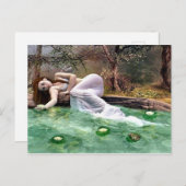 Carte Postale Beauté du nénuphar (Devant / Derrière)