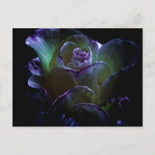 Carte Postale Beauté En Fleur