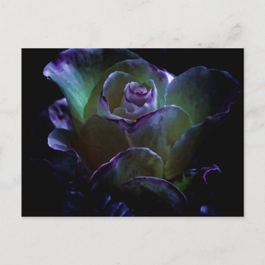 Carte Postale Beauté En Fleur (Devant)